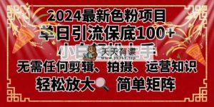 2024全新变脸新项目，新手快速上手，运单号单月转现3W＋，可大批量引流矩阵实际操作变大-天天有课网