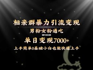 独家首发相亲群暴力行为引流方法粉丝女友粉同吃转现游戏玩法，单日转现7000 家庭保姆课堂教学1.0-天天有课网