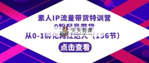 繁星·计划素人IP流量带货特训营：0粉起号带货 从0-1孵化网红达人-天天有课网