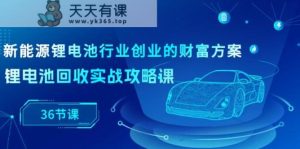 新能源锂电池领域自主创业财运计划方案,锂电池回收实战演练攻略大全课-天天有课网