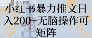 小红书暴力推文日入200+无脑操作可矩阵【揭秘】-天天有课网