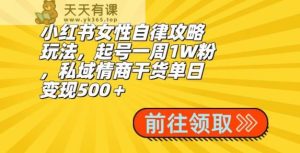小红书女性自律攻略玩法，起号一周1W粉，私域情商干货单日变现500＋-天天有课网