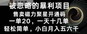被忽略的暴利项目！售卖磁力聚星开通码，一单20，一天十几单，轻松月入五六千-天天有课网