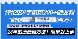 发表评论8字截留200 自主创业粉“当韭菜割”单日转现2万 24年截留全新方式！-天天有课网