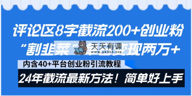 发表评论8字截留200 自主创业粉“当韭菜割”单日转现2万 24年截留全新方式！-天天有课网