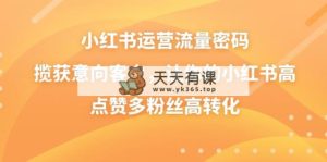 小红书运营总流量登陆密码，摘获潜在客户，使你的小红书高些赞多粉丝们高转化-天天有课网