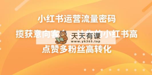 小红书运营总流量登陆密码，摘获潜在客户，使你的小红书高些赞多粉丝们高转化-天天有课网