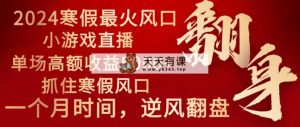 2024年最红假期蓝海项目 小游戏直播 场均盈利5000 把握住出风口 一个月立即拿车-天天有课网