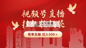 最新视频号直播挂机抢福袋项目，简单无脑，批量产出实物，轻松日入500＋-天天有课网