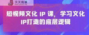 短视频文化IP课,学习文化IP打造的底层逻辑-天天有课网