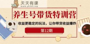 健康养生号卖货夏令营【12期】盈利更稳定的游戏玩法,使你卖货盈利发生爆炸-天天有课网
