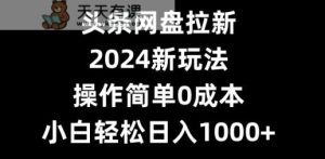 头条网盘拉新,2024新玩法,操作简单0成本,小白轻松日入1000+-天天有课网