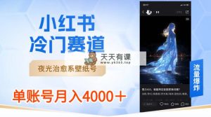 小红书的小众跑道，发光治愈系壁纸号，运单号月入4000＋-天天有课网