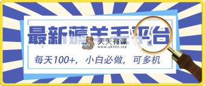 新手必撸新项目，刷广告撸金全新游戏玩法，零门槛取现，亲自测试一天最大140-天天有课网