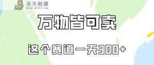 万物皆可卖，小红书这个赛道不容忽视，实操一天300！-天天有课网