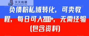 负债粉私域转化,可卖教程,每日可入2000+,无需经验【揭秘】-天天有课网