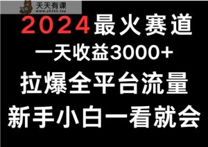 2024最红跑道,一天收一3000 .拉爆全用户流量,新手入门一看就会-天天有课网
