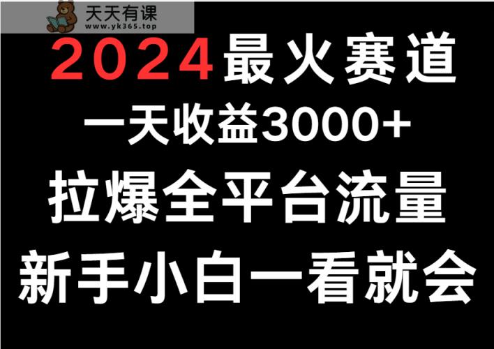 2024最红跑道，一天收一3000 .拉爆全用户流量，新手入门一看就会-天天有课网