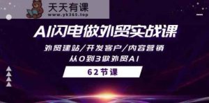 AI雷电做跨境电商实战演练课，外贸网站建设/寻找客户/内容运营/从0到3做跨境电商AI-天天有课网