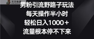 粉丝引流方法歪门邪道游戏玩法,每日实际操作三十分钟轻轻松松日入1000+,总流量停不下来-天天有课网