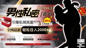 各大网站全新男性私密跑道游戏玩法，点爆私域流量池，轻轻松松日入2000-天天有课网