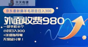 京东最新薅羊毛项目小白怎么做到日入300+一部手机半小时搞定-天天有课网