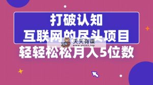 摆脱认知能力，互联网技术的尽头新项目，轻松月入5位教-天天有课网