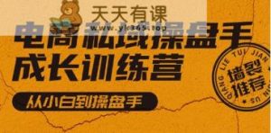 电商私域操盘手成长训练营,从小白到操盘手-天天有课网