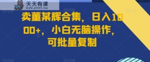 卖董某辉合集，日入1000+，小白无脑操作，可批量复制-天天有课网