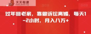 过年回老家，靠做诉讼离婚，每天1-2小时，月入八万+-天天有课网