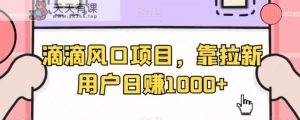 滴滴风口项目，靠拉新用户日赚1000+-天天有课网