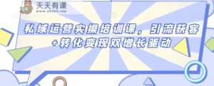 私域运营实操培训课，引流获客+转化变现双增长驱动-天天有课网