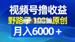 微信视频号歪门邪道撸盈利，100%原创设计，一条条爆品，月收入6000＋-天天有课网