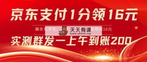 京东闪付1分到16元实际操作到帐200-天天有课网