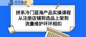 拼系冷门蓝海产品实操课程,从注册店铺到选品上架到流量维护环环相扣-天天有课网