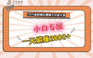 2024最新微信视频号分成计划,对新人友好,一天躺赚2000+-天天有课网