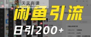 外面收费6980闲鱼引流法，日引200+创业粉，每天稳定2000+收益，保姆级教程-天天有课网