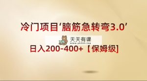 蓝海项目‘脑经急转弯3.0’轻轻松松日入200-400 【家庭保姆级实例教程】-天天有课网