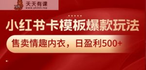 小红书卡模板爆款玩法，售卖情趣内衣，日盈利500+【揭秘】-天天有课网