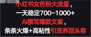 小红书的女颜料总流量，一天平稳700~1000   Ai编写爆款文案一条条受欢迎，高粘度引流方法养老顾客-天天有课网