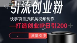 快手项目拆解类视频详细制作流程打造个人IP，单日引流200+高质量创业粉【揭秘】-天天有课网