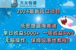 2024最新风口项目，低密度蓝海赛道，单日收益5000+，一周收益4w+！【揭秘】-天天有课网