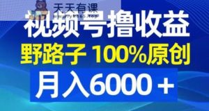 视频号野路子撸收益,100%原创,条条爆款,月入6000+【揭秘】-天天有课网