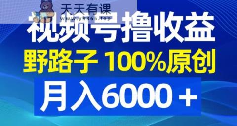 视频号野路子撸收益，100%原创，条条爆款，月入6000＋【揭秘】-天天有课网