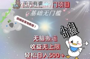 2024最新冷门项目，无脑搬运，收益无上限，轻松日入500＋，保姆级落地教程-天天有课网