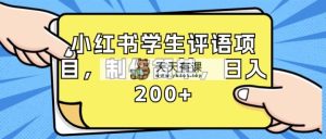 小红书学生评语项目，制作简单，日入200+-天天有课网
