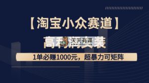 【淘宝小众赛道】高利润女装：1单必赚1000元，超暴力可矩阵-天天有课网