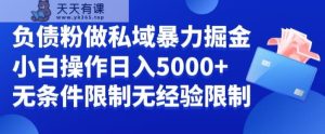 负债粉私域暴力掘金，小白操作入5000，无经验限制，无条件限制【揭秘】-天天有课网