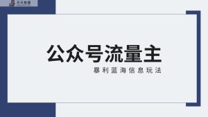 微信公众号微信流量主蓝海项目全新升级玩法技巧：30天盈利42174元，送实例教程-天天有课网
