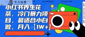 小红书养生花茶,冷门暴力项目,最适合小白做,月入【1W+】-天天有课网